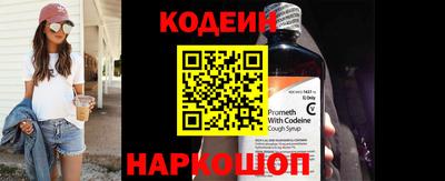 мдпв Кингисепп