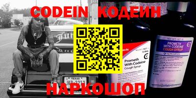 мдпв Кингисепп
