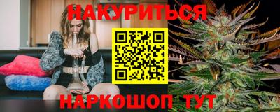 мдпв Кингисепп