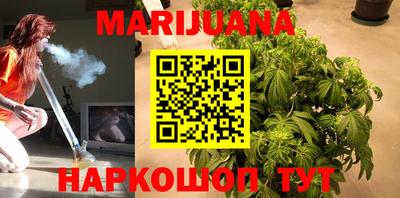 мдпв Кингисепп