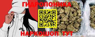 мдпв Кингисепп