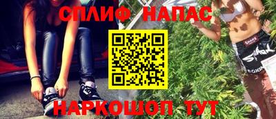 мдпв Кингисепп
