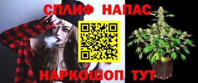 мдпв Кингисепп