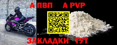 мдпв Кингисепп